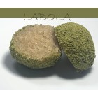 LABOLA